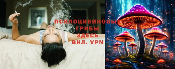 прущая мука Алексин