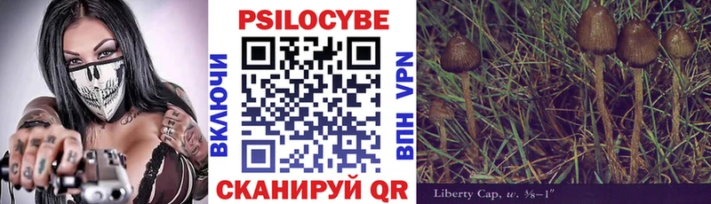 даркнет сайт  Гурьевск  Псилоцибиновые грибы GOLDEN TEACHER 